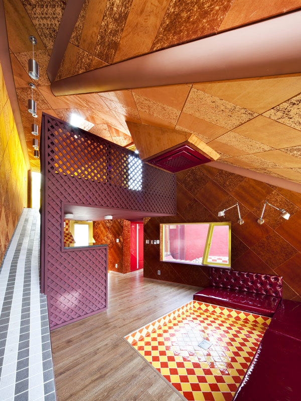 Intriguing Hobby Houses  Where Passion Meets Home