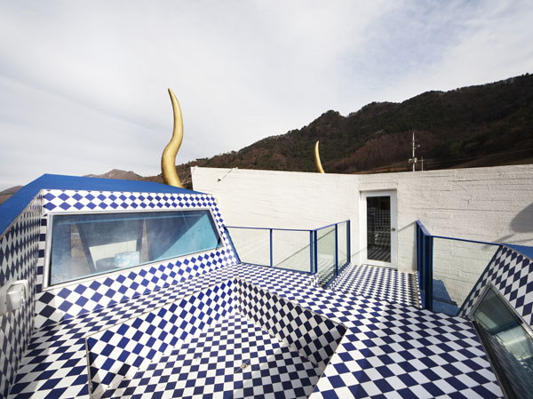 Intriguing Hobby Houses  Where Passion Meets Home