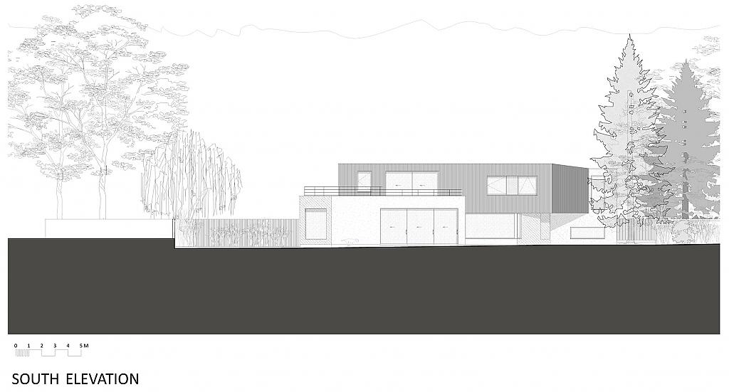 Дом в виде неправильного клина