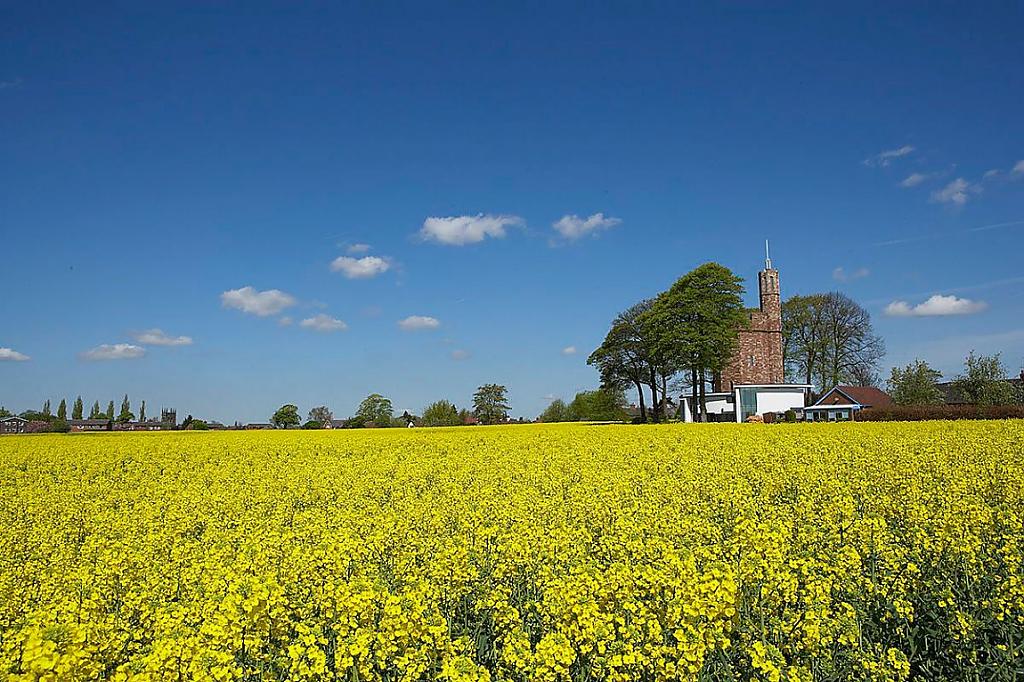 Lymm Water Tower