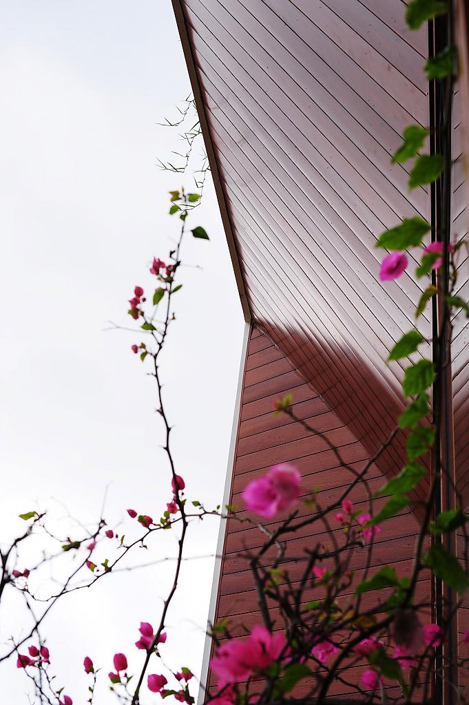 No47 House by HP
