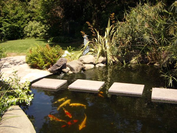 Rich And Tranquil Home Landscape