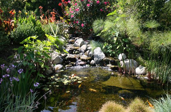 Rich And Tranquil Home Landscape