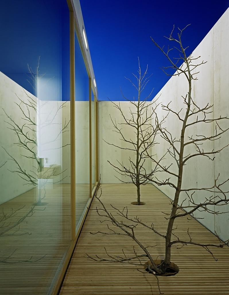 Slightly Inclined Modern House