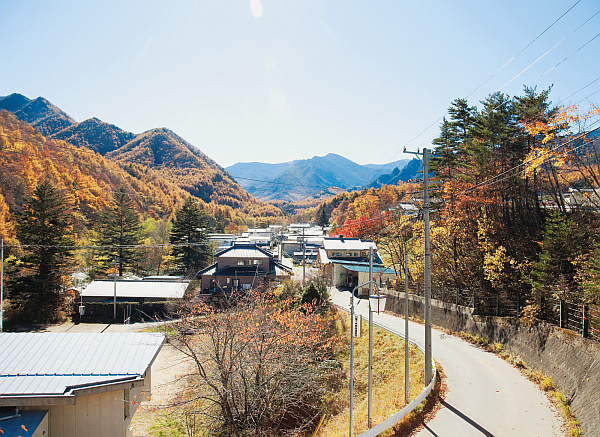 Sustainable Weekend Retreat Shines