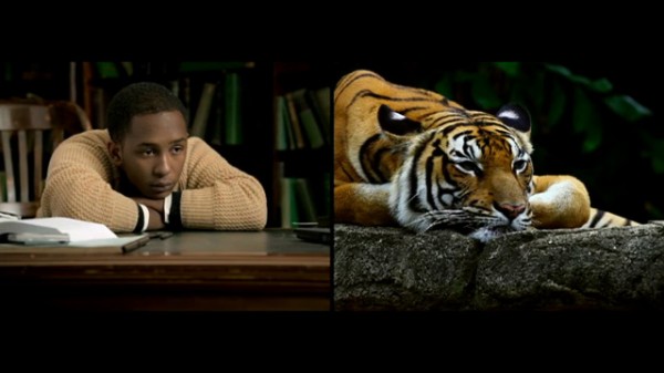 The World is Where We Live