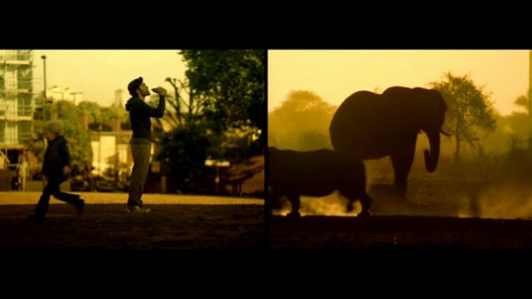 The World is Where We Live