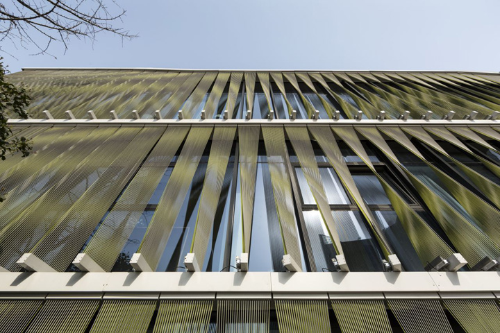 Tony’s Organic House