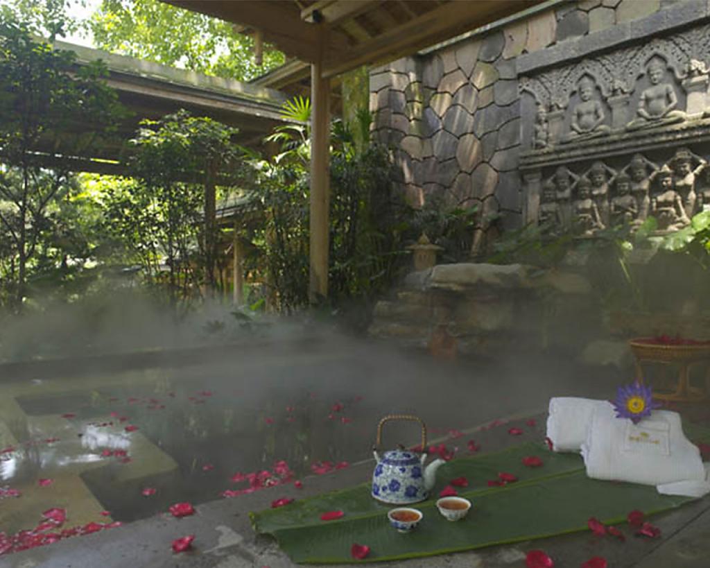 Top Holiday Spa&Wellness Retreats