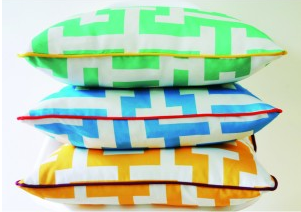 Xavier & Me Cushions