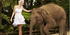 bride-to-elephant-04-01