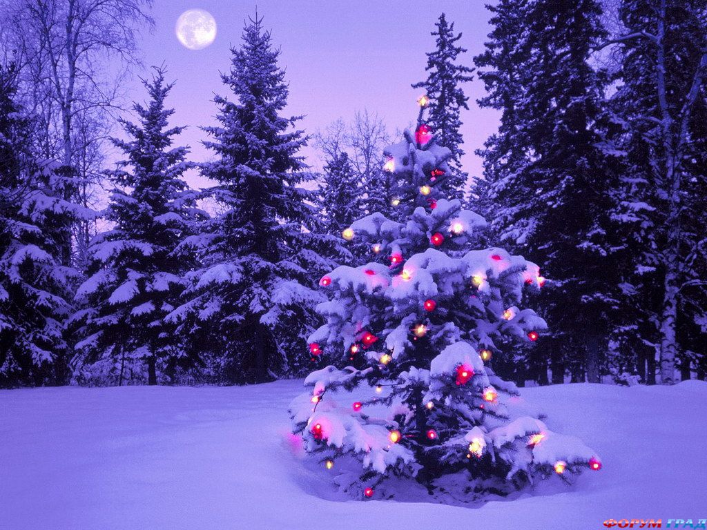мой любимый праздник новый год