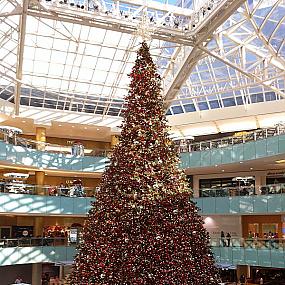 the-christmas-tree-at-the-dallas-galleria