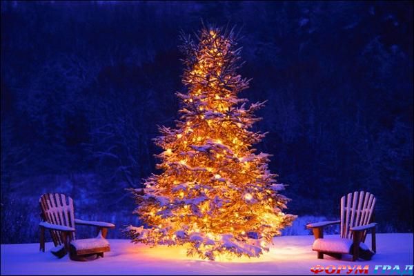 новый год 2012 открытки