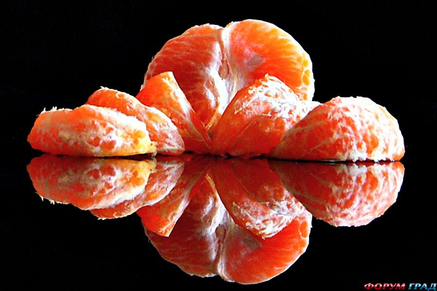 картинки фруктов и овощей