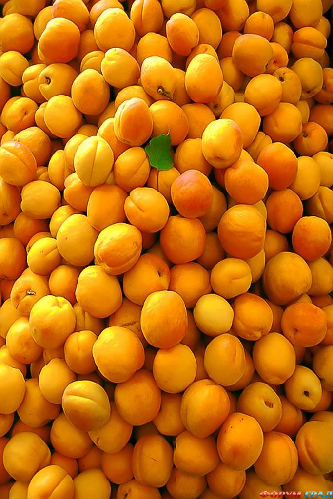 картинки фруктов и овощей