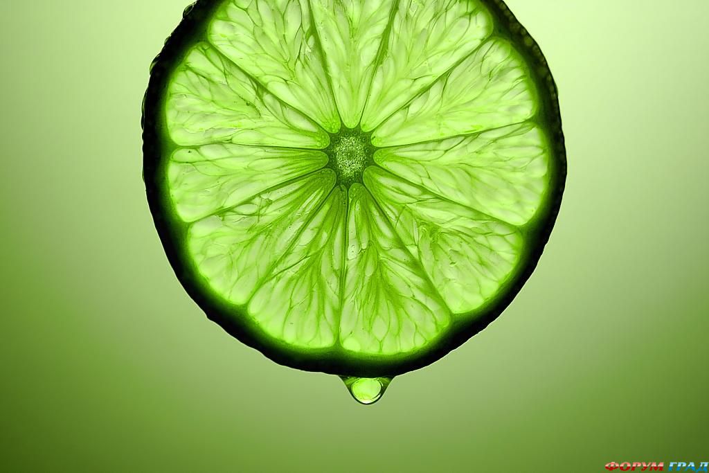 Качественные фотографии фруктов и овощей