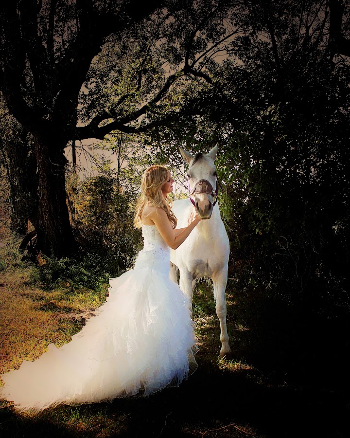 bride-horse