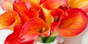 bright-orange-bridal-bouquets-29-01