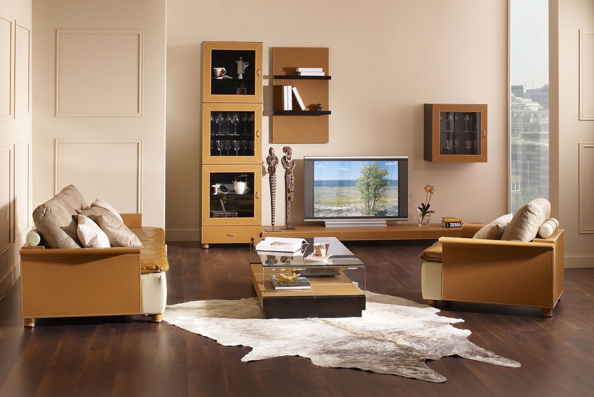 design-interior-living-room-idea-12