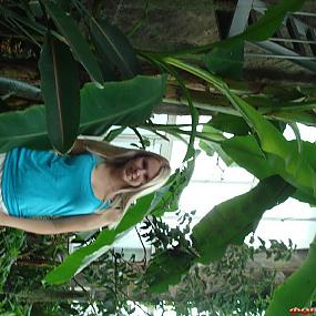 dsc02134