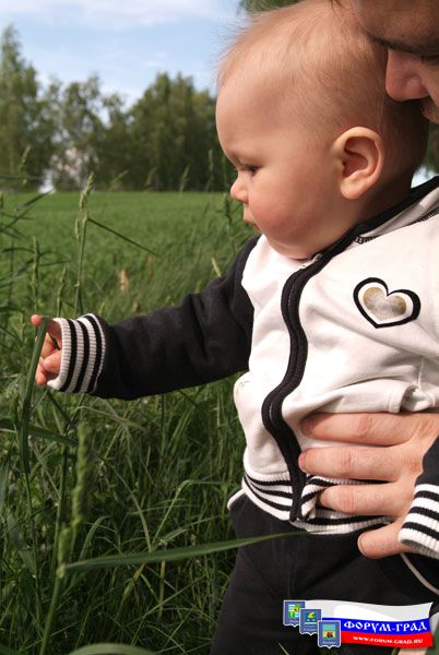 Что это за травушка муравушка?