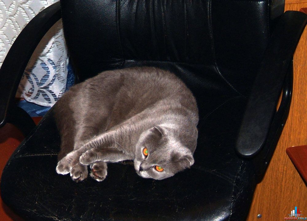 dscf0053 101756