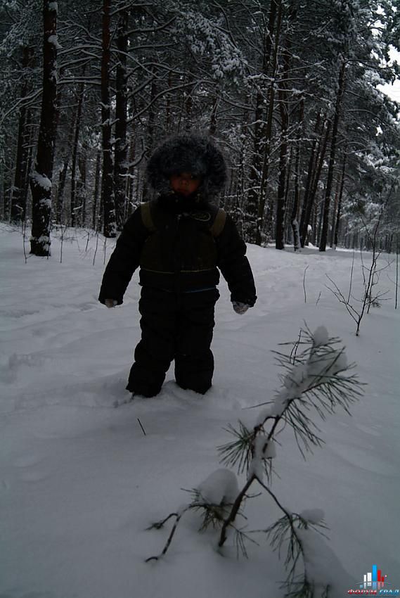 Поход в зимний лес)