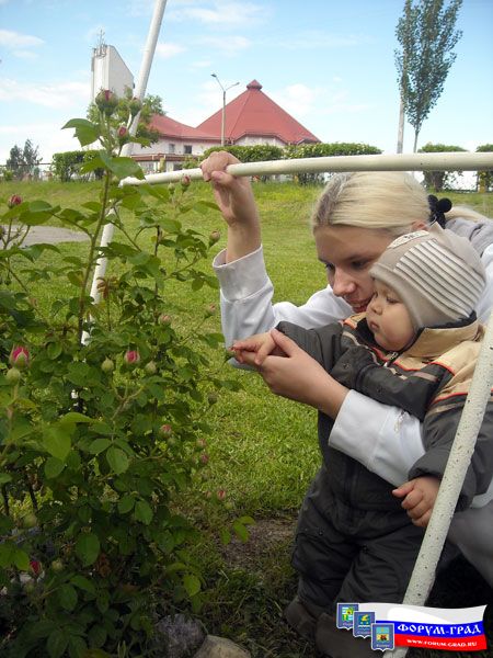 Я трогаю розы)