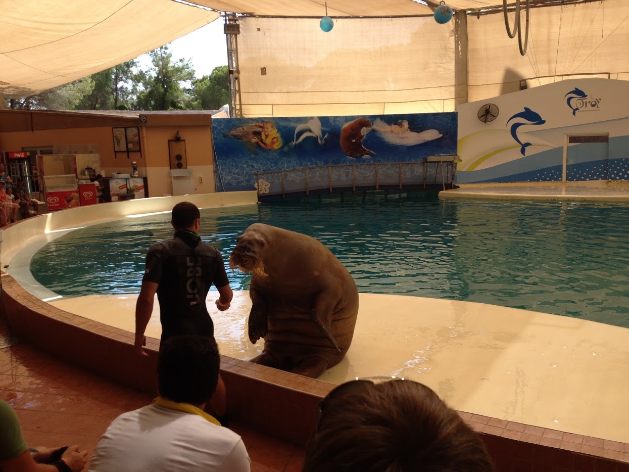 otdykh-v-turtsii-alaniya-06