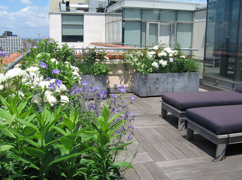 rooftop-garden-32