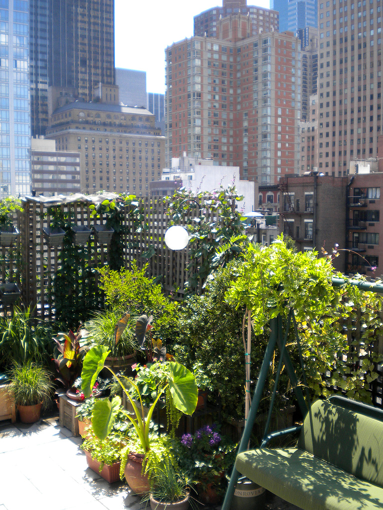 rooftop-garden-34