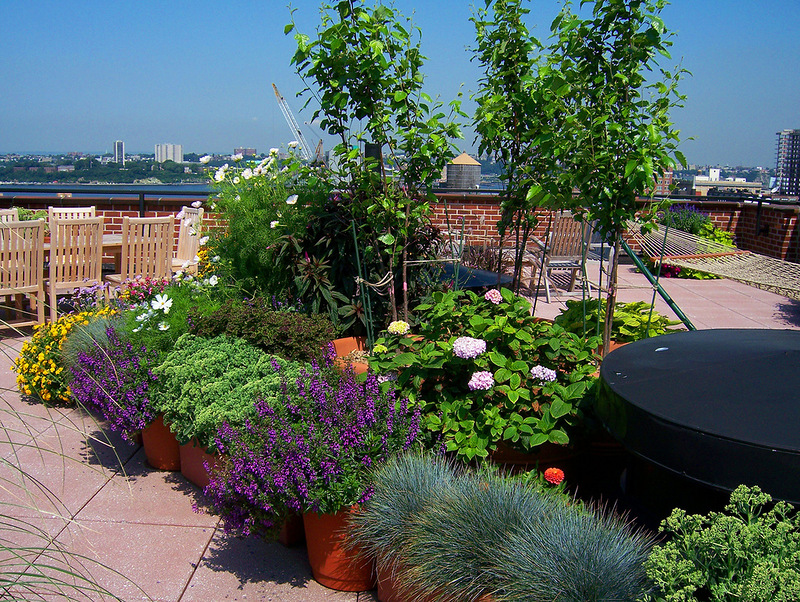 rooftop-garden-42