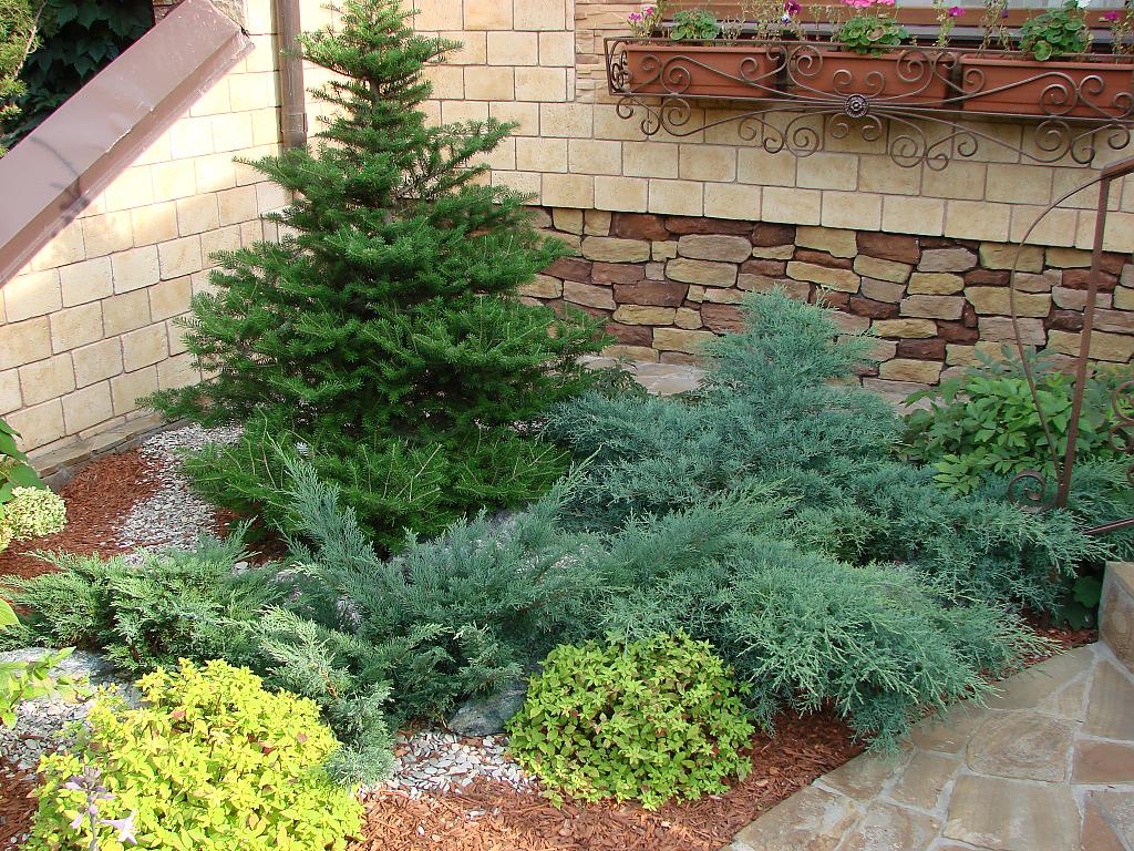 garden-of-conifers-02