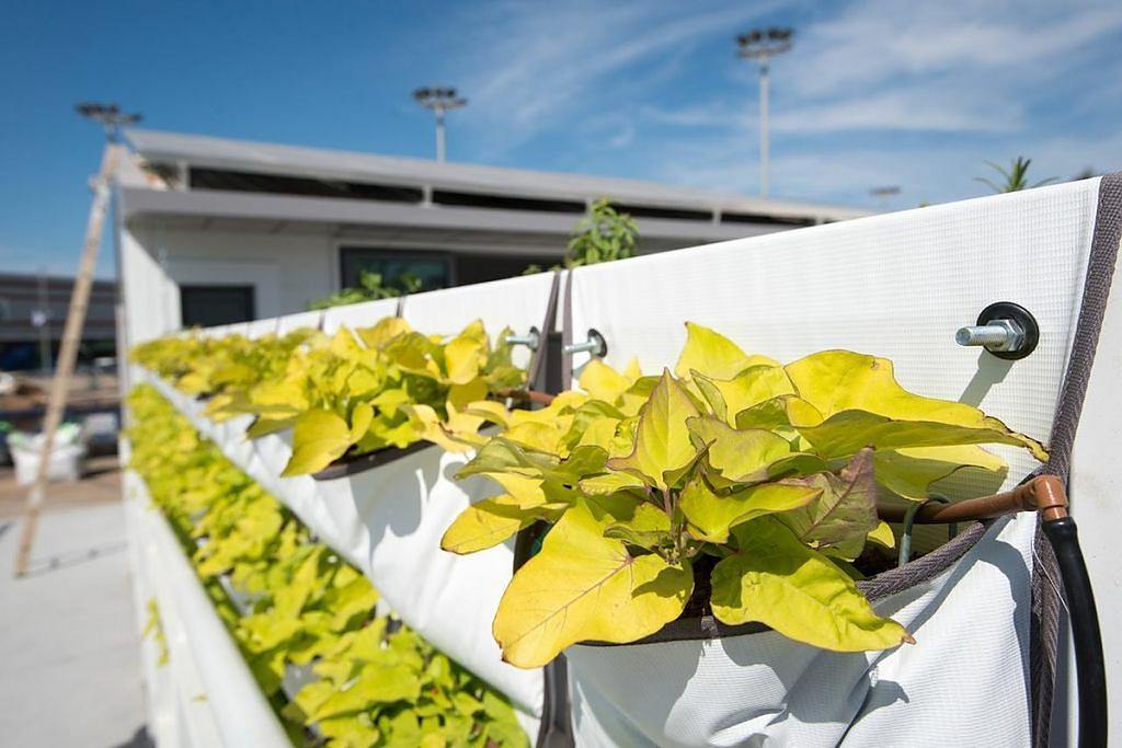 solar-decathlon-06