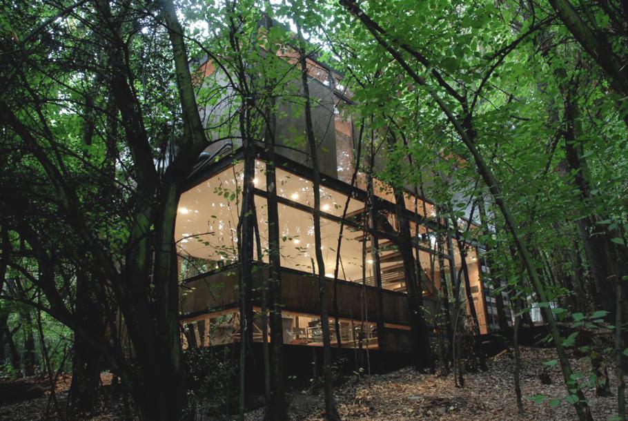 house-in-the-forest-apollo-11-chile-02