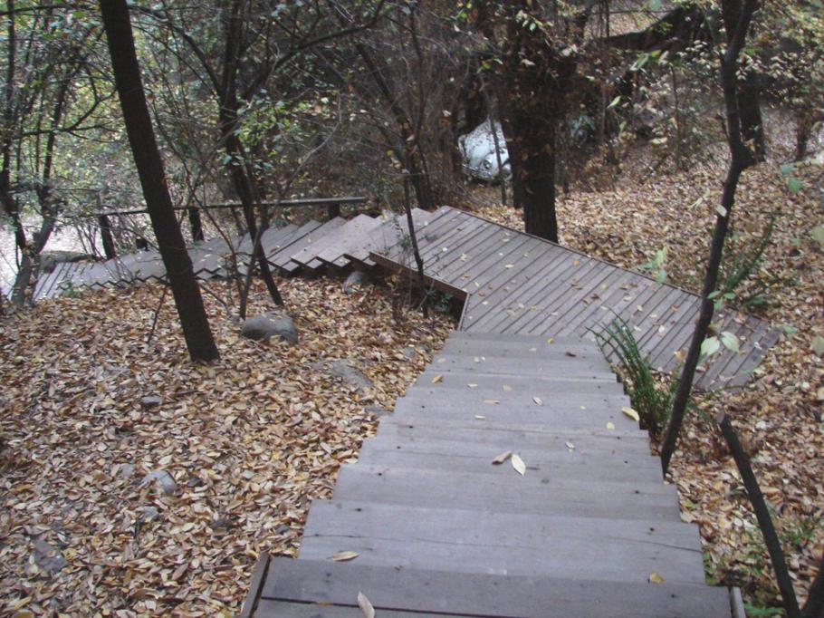 house-in-the-forest-apollo-11-chile-10