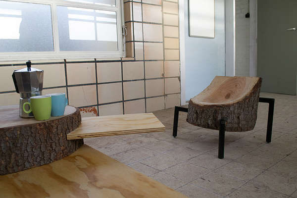 wood-stumps-03