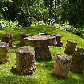 wood-stumps-08