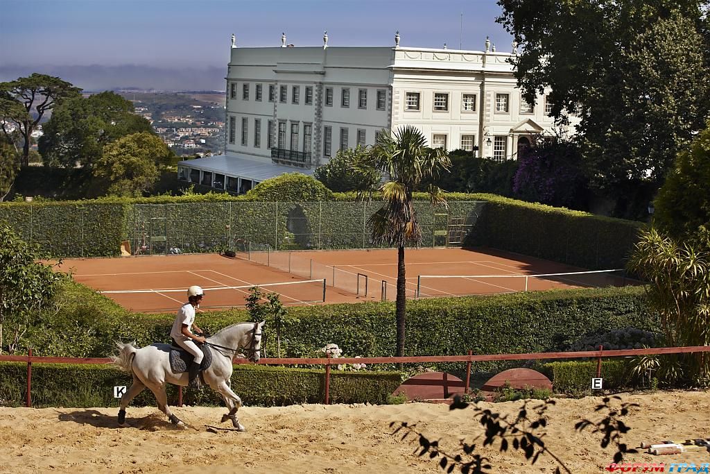 Отель Sintra