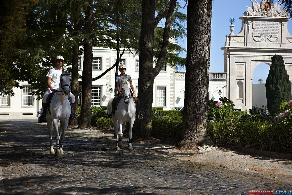 Конные прогулки возле отеля Sintra