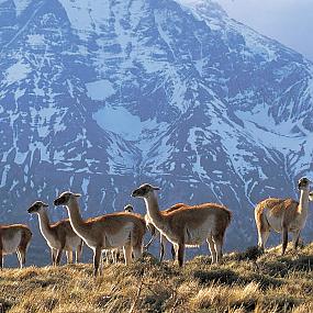 patagonia-hotel-21