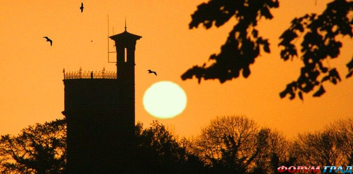 Отель Appleton Water Tower