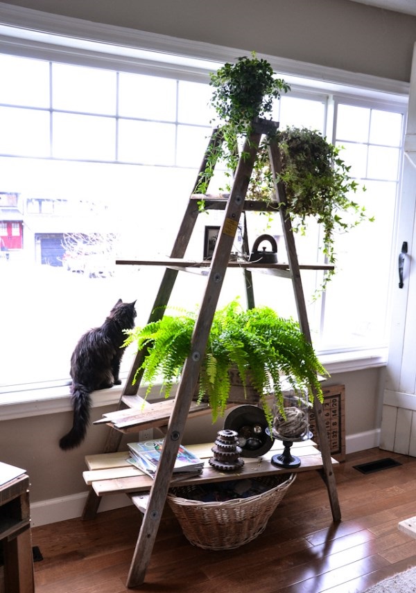 diy-plant-stand-7