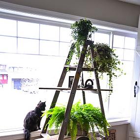 diy-plant-stand-7