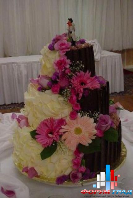 6aea0c0a5d49796e4936ac5a8ff0fbd9