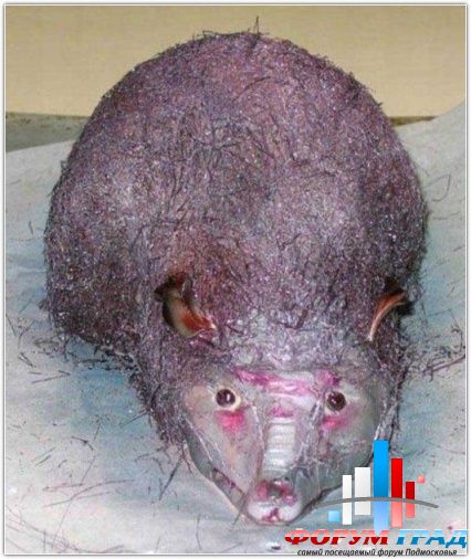 9df266dde2552558db5fa9ef08989b9f