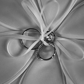 pad wedding-rings-04