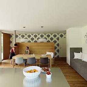 house-by-hohensinn-architektu-03