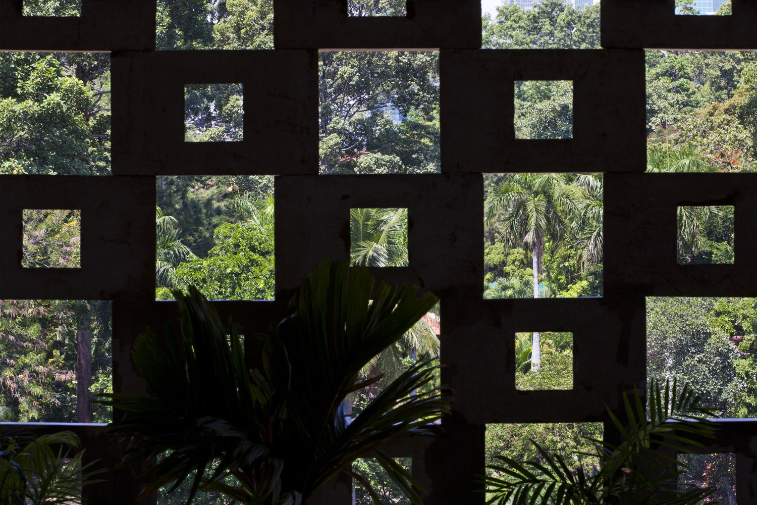 house-by-vo-trong-nghia-architects-05